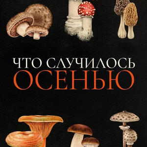 Всякое разное