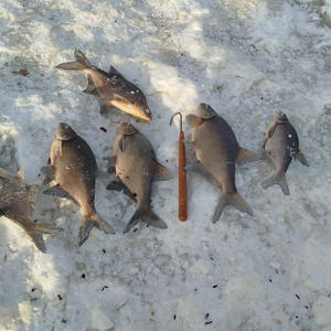 Улов на льду — зимняя симфония Селигера