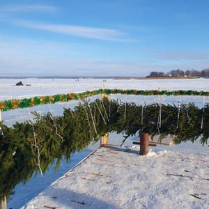 Про Селигер