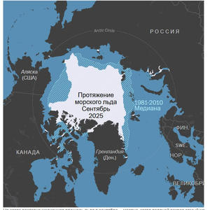 Пикейные жилеты