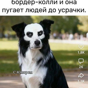 Братья меньшие