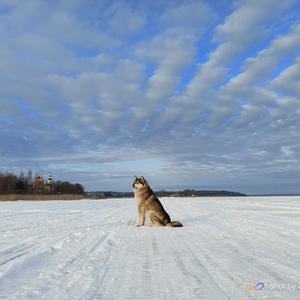 Про Селигер