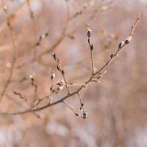 Про Селигер