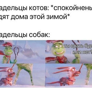 Братья меньшие