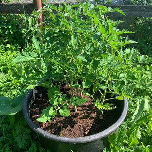 Всякое разное