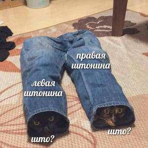 Братья меньшие