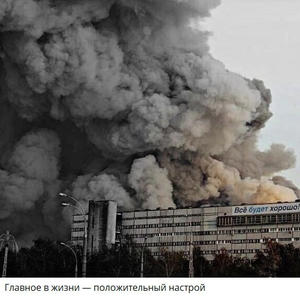 Пикейные жилеты