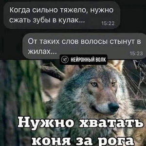 Пикейные жилеты