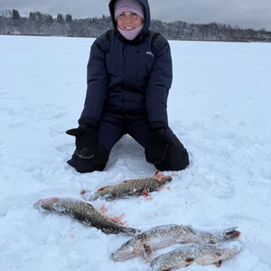 Зимний улов на снегу