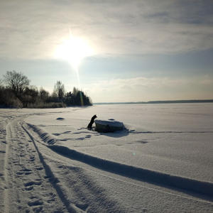 Братья меньшие