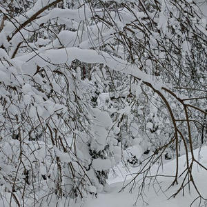 Про Селигер