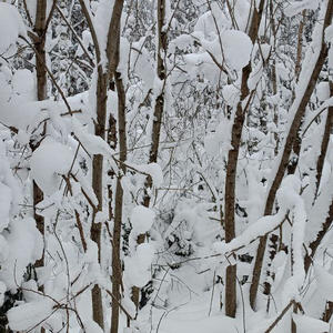 Про Селигер