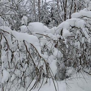 Про Селигер