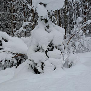 Про Селигер