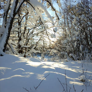 Про Селигер