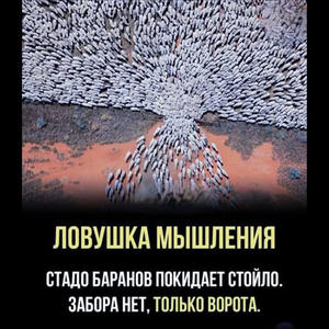 Братья меньшие