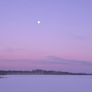 Лунный свет на снежном зеркале