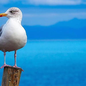 Про Селигер