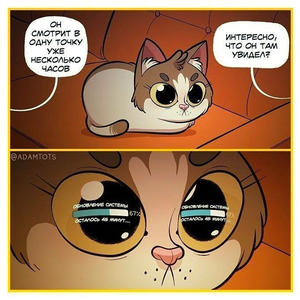 Братья меньшие