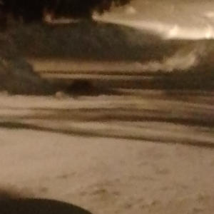 Братья меньшие