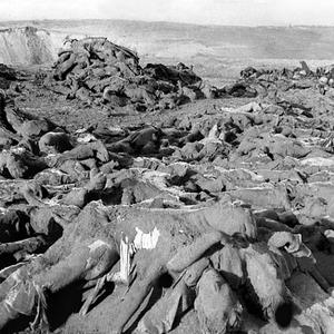 Всякое разное