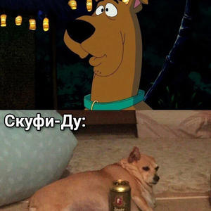 Братья меньшие