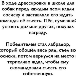 Братья меньшие