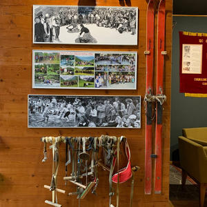 Путешествия