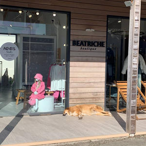 Путешествия