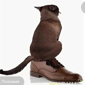 Всякое разное