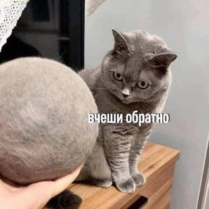 Братья меньшие