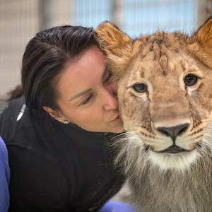 Братья меньшие