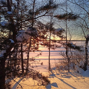 Про Селигер