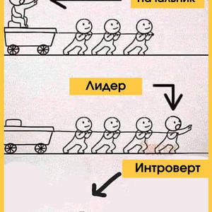 Пикейные жилеты