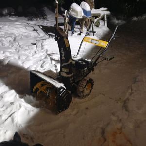 Братья меньшие