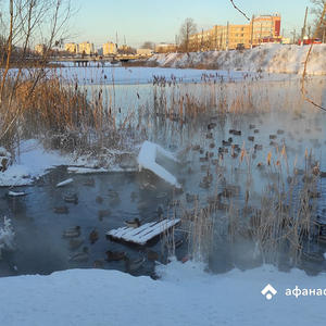В Осташкове ночью ударило -30,9: в область вернулись сильные морозы