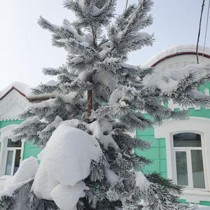 Про Селигер