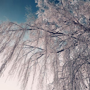 Про Селигер