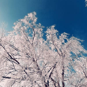 Про Селигер