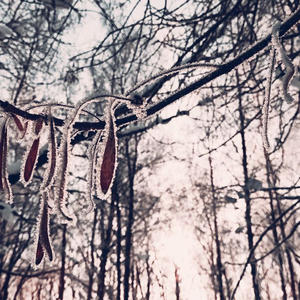 Про Селигер