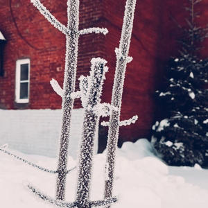 Про Селигер