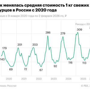 Пикейные жилеты