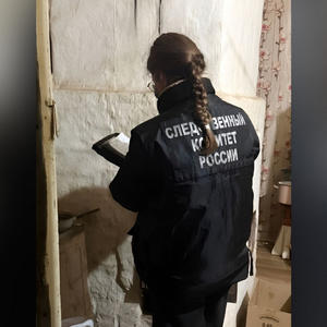 Дело об убийстве в Пено передали в Осташковский межрайонный суд