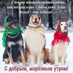 Всякое разное