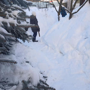 Дача и грядки