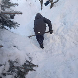 Дача и грядки