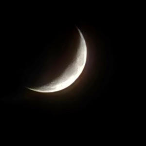 Всякое разное