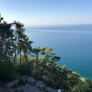 Всякое разное