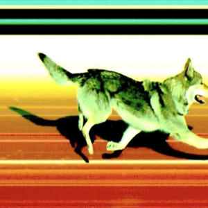 Братья меньшие