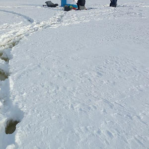 Про Селигер